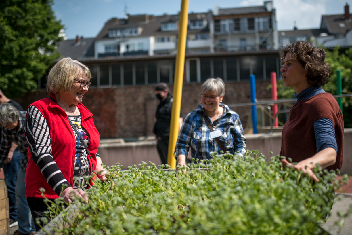 Aufbau barrierefreies Hochbeet